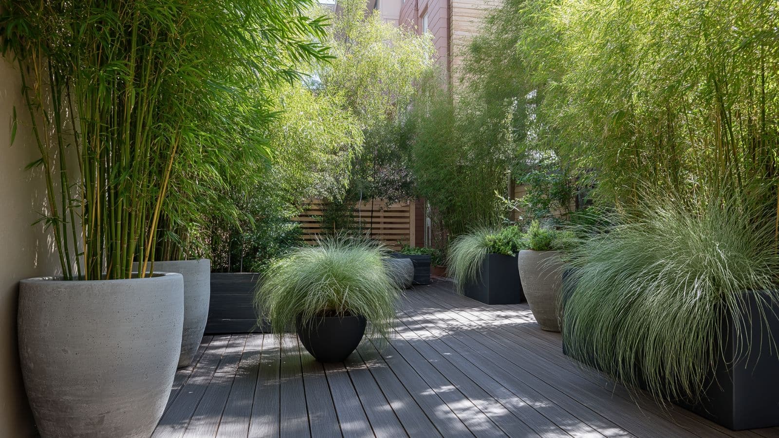 Creative DIY Privacy Fence Ideas on a Budget Using Plants for a Stylish Outdoor Sanctuary